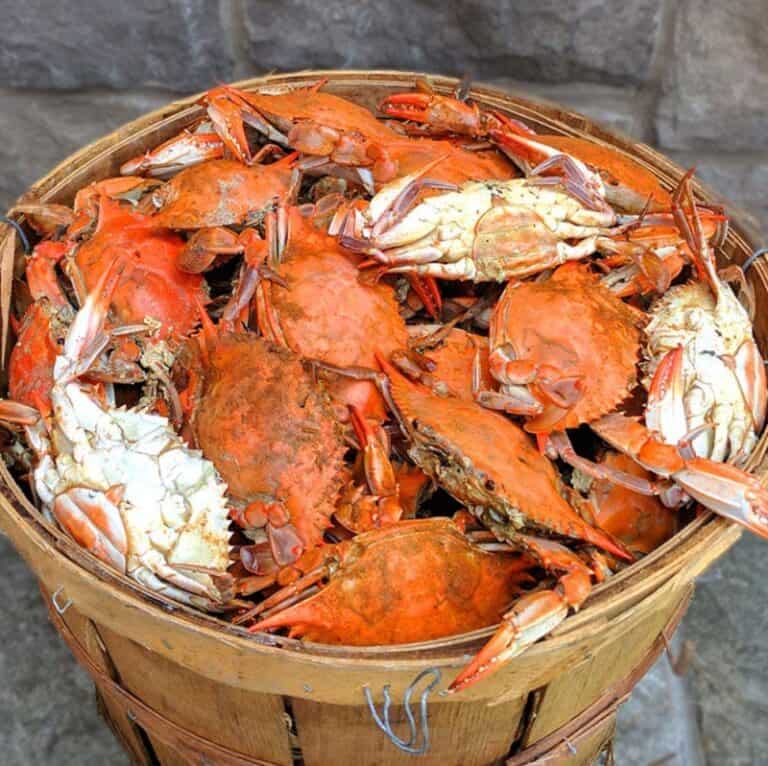 bushel of crabs