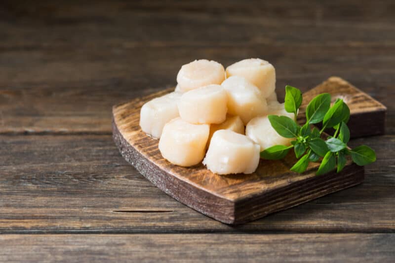 scallops