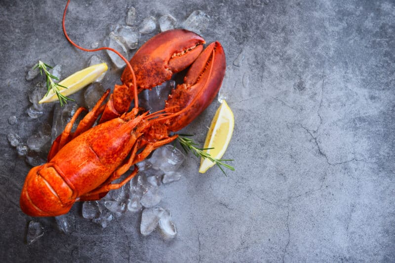 lobster